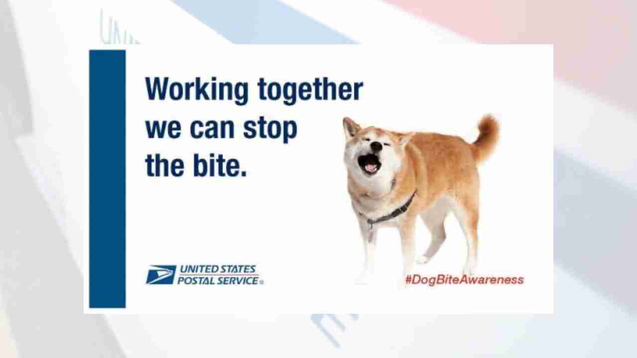 dogbiteaware