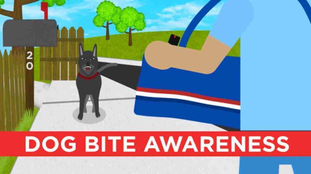 Raising awareness of dog bites