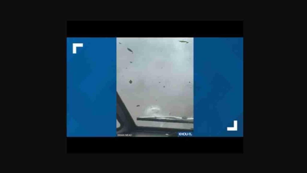 Texas tornado video: Mail carrier rides out storm in his truck