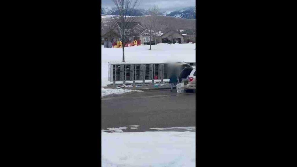 USPS carrier tossing packages near Missoula mailboxes