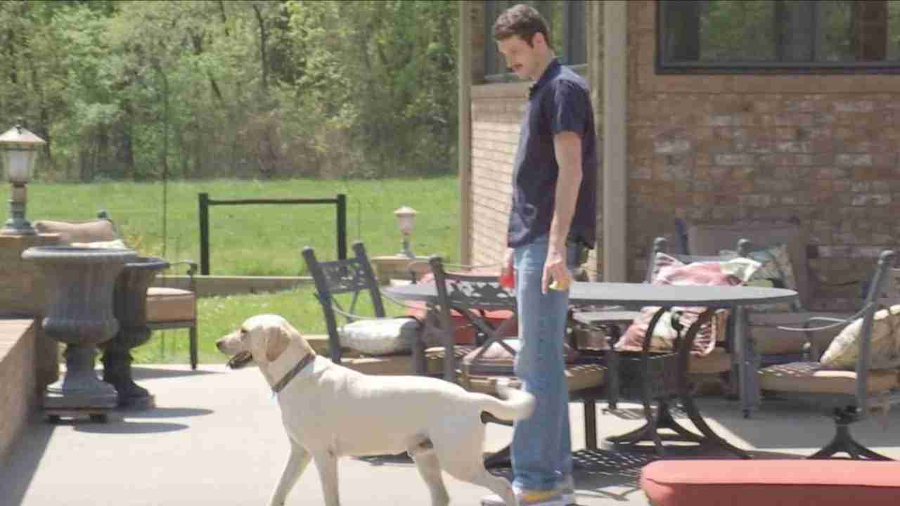 Owner reacts after USPS mail carrier sprays dog with substance in incident caught on camera
