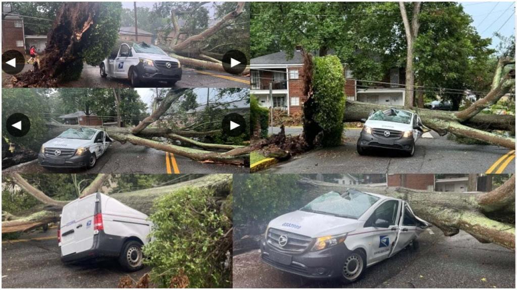 Tree falls on Athens mail van - Carrier not hurt