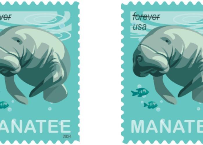 USPS will dedicate its Save Manatees stamp on Wednesday, March 27