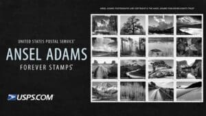 A new video looks at the man behind the photos - Ansel Adams
