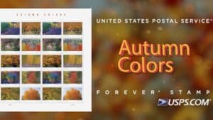 Video: Autumn Colors stamps showcase season’s vibrant hues