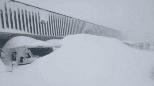 USPS OIG - U.S. Postal Service Emergency Preparedness: Winter Storm Elliott