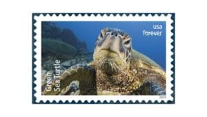 USPS crowns a winner in its social media Stamp Showdown