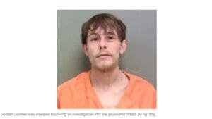 Owner of dogs which attacked mail carrier has been arrested
