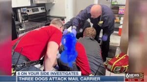 Dog attack in Papillion leaves mail carrier injured