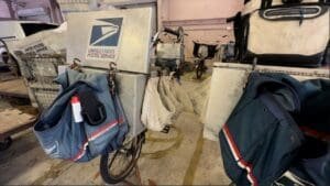 St. Pete is one of three areas in U.S. that still deliver mail by bicycle