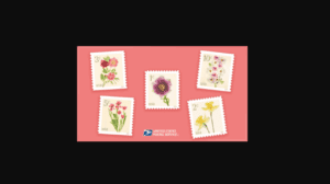 First-Day-of-Issue Stamp Event Featuring Local Berkeley Photographer’s Images