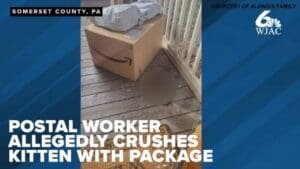 Somerset Co. family speaks out after postal worker allegedly 'crushes' kitten with package