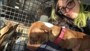 Postal carrier reunites Troy lost dog with her humans