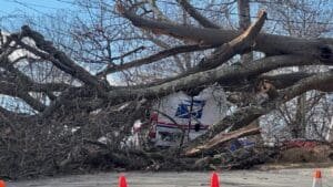 Tree falls on unoccupied USPS vehicle in Newington