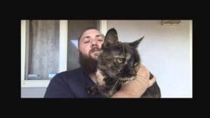 Mail carrier caught on camera pepper-spraying Rancho Cordova resident’s cat