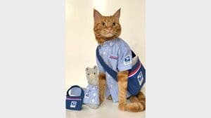 Purrfectly postal - A feline fan dresses the part