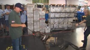 Postal workers in Ross Township train to prevent dog bites