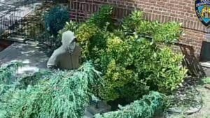 Violent criminals attacking NYC postal workers in multiple heists