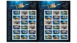 USPS Makes a Splash With New Sea Turtles Stamps