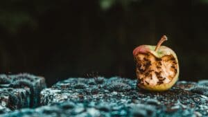 Bad apples in the postal service - 01/19/24