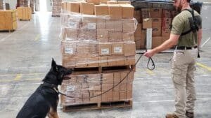 Judge Criticizes USPS As K-9 Screening Contract Dispute Ends
