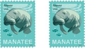 New Save Manatees Postage Stamp to be Issued on Manatee Appreciation Day
