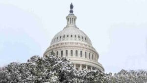 Postal unions issue Calls to Action for the Senate reconciliation bill