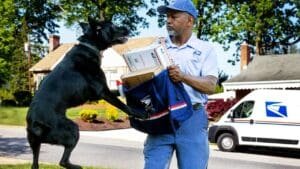 Dog attacks on USPS employees increased again last year
