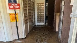 USPS employees in hurricane-ravaged areas deal with loss—and still make their deliveries