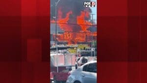 Fire destroys 8 businesses near University of Nevada, including USPS location