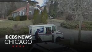 Turkeys chase mail carrier throughout his route