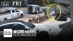 USPS mail carrier accused of kicking woman's dog in Hollywood Hills area