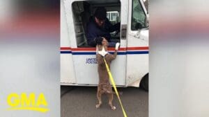 Mailman receives special sendoff after nearly 40 years of service