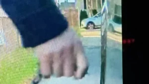 USPS employee caught on camera keying Tesla
