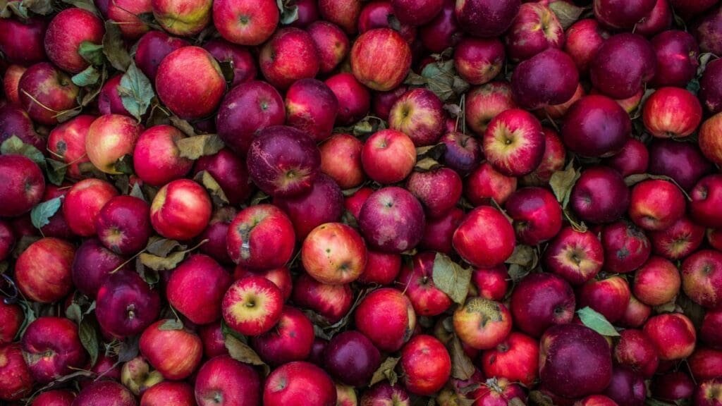 At USPS, the Good Apples Outweigh the Bad Ones