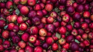 At USPS, the Good Apples Outweigh the Bad Ones