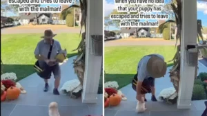 Doorbell Cam Captures Moment Puppy Escapes, Tries To Leave With Mailman