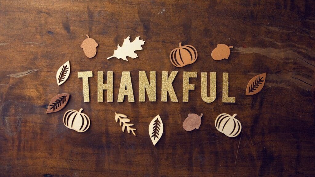 Happy Thanksgiving to you all