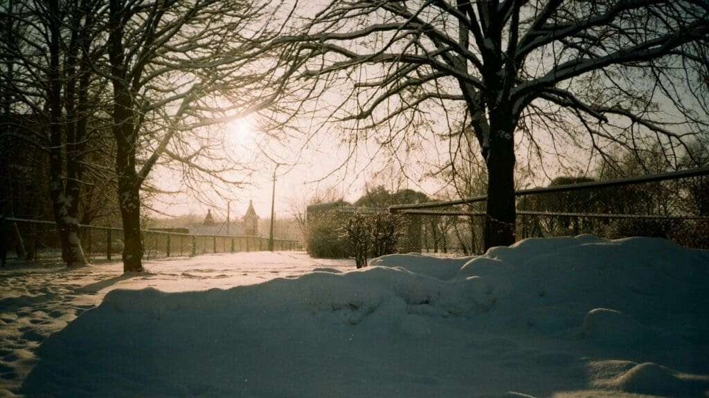 USPS Winter Weather Update