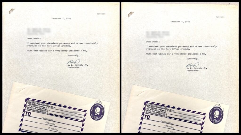 A warm-hearted effort for a cold-blooded friend