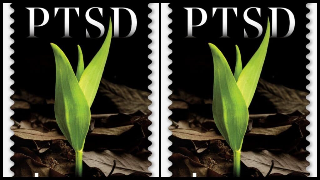 Healing PTSD stamp gets special treatment in December