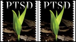 Healing PTSD stamp gets special treatment in December