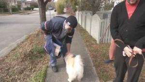 Beloved Wilmington mail carrier says farewell to neighborhood after years of service