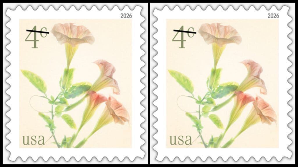USPS to release a 4-cent stamp - Angel’s Trumpets is the latest issue in floral series