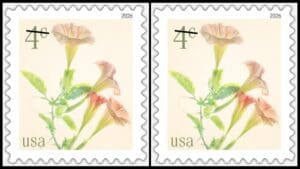 USPS to release a 4-cent stamp - Angel’s Trumpets is the latest issue in floral series