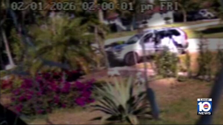 Video shows mailman pepper spraying 3 dogs behind fence in South Florida