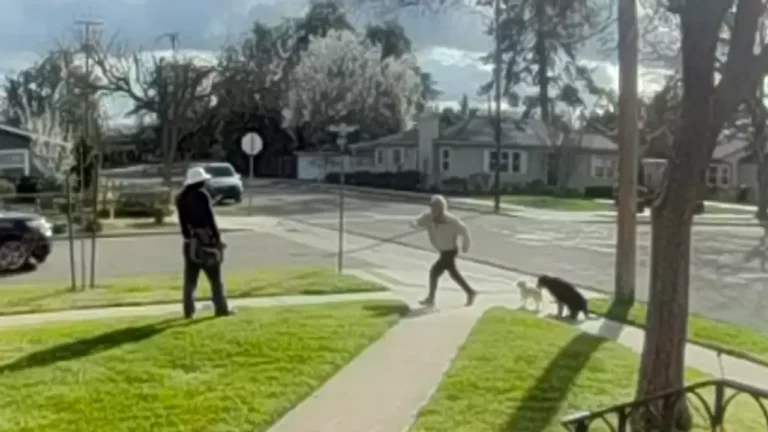 VIDEO: Elderly man attacks mailman in Fresno