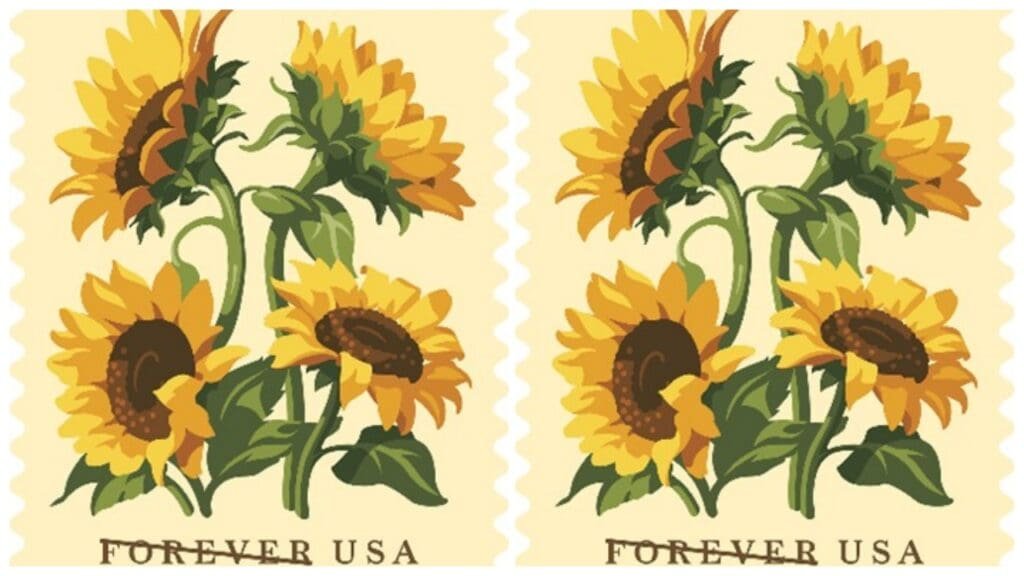 Postal Service celebrates sunflowers with new stamp