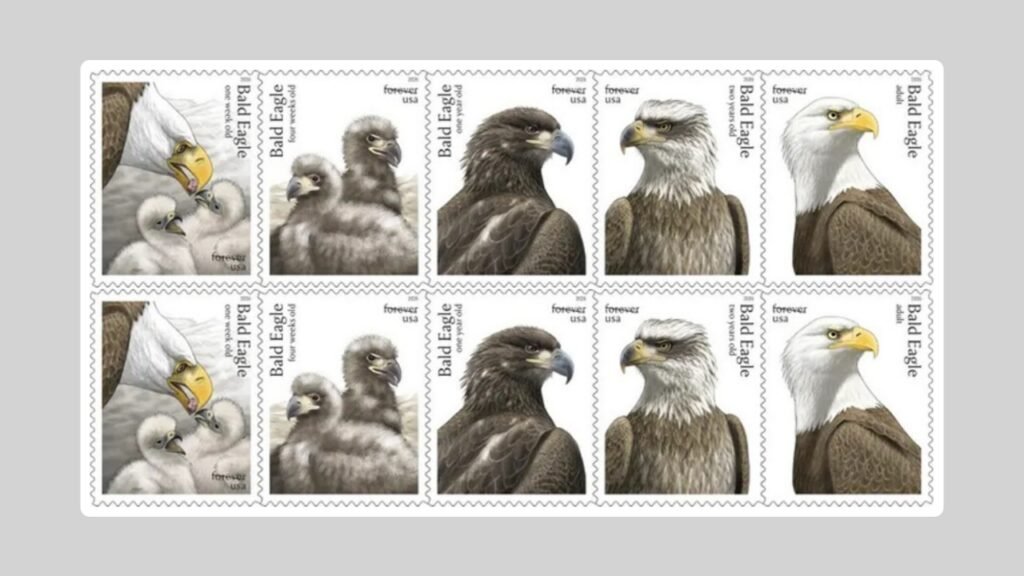 USPS To Release Stamps Honoring National Bird