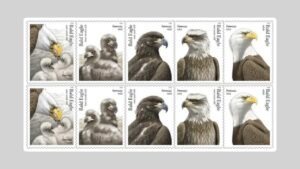 USPS To Release Stamps Honoring National Bird